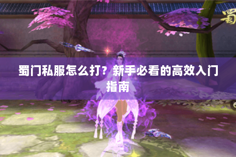 蜀门私服怎么打？新手必看的高效入门指南
