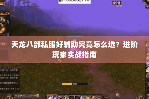 天龙八部私服好辅助究竟怎么选？进阶玩家实战指南