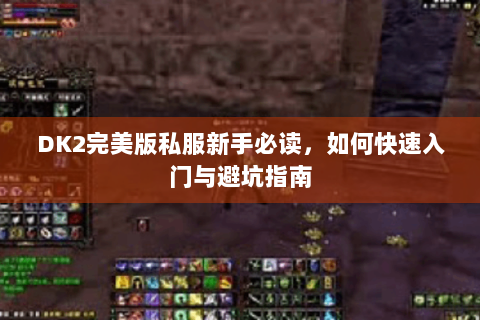 DK2完美版私服新手必读，如何快速入门与避坑指南