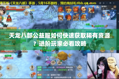 天龙八部公益服如何快速获取稀有资源？进阶玩家必看攻略