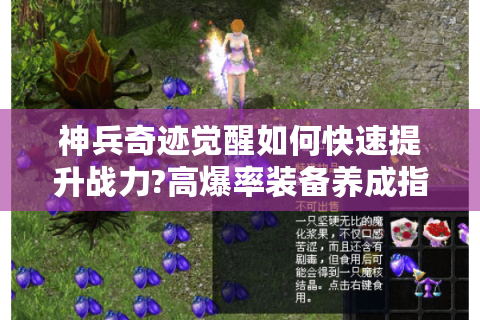 神兵奇迹觉醒如何快速提升战力?高爆率装备养成指南