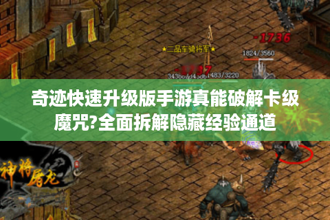奇迹快速升级版手游真能破解卡级魔咒?全面拆解隐藏经验通道