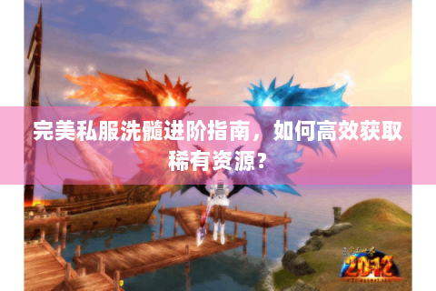 完美私服洗髓进阶指南，如何高效获取稀有资源？