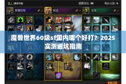 魔兽世界60级sf国内哪个好打？2025实测避坑指南