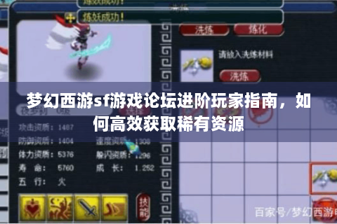 梦幻西游sf游戏论坛进阶玩家指南，如何高效获取稀有资源