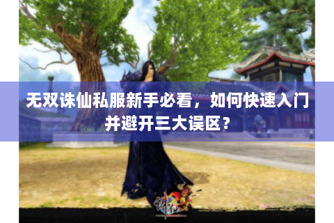 无双诛仙私服新手必看，如何快速入门并避开三大误区？