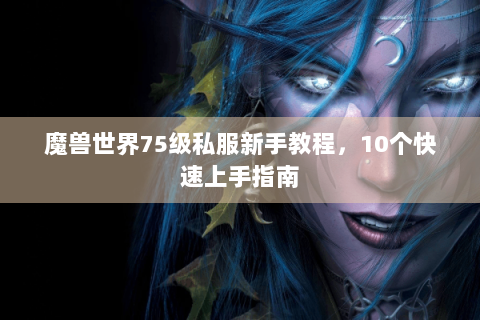 魔兽世界75级私服新手教程，10个快速上手指南