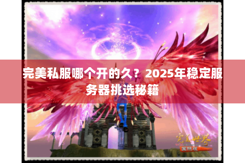 完美私服哪个开的久？2025年稳定服务器挑选秘籍