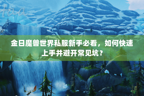 金日魔兽世界私服新手必看，如何快速上手并避开常见坑？