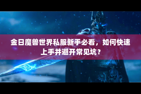金日魔兽世界私服新手必看，如何快速上手并避开常见坑？