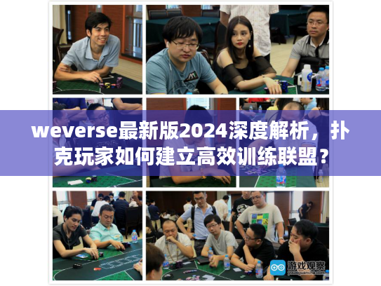 weverse最新版2024深度解析，扑克玩家如何建立高效训练联盟？