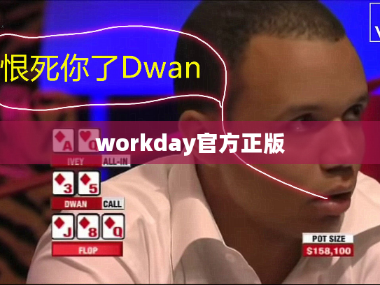 workday官方正版