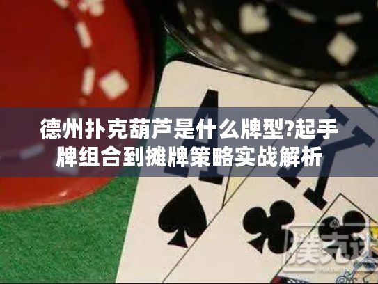德州扑克葫芦是什么牌型?起手牌组合到摊牌策略实战解析