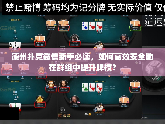 德州扑克微信新手必读，如何高效安全地在群组中提升牌技？