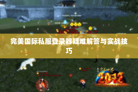 完美国际私服登录器疑难解答与实战技巧