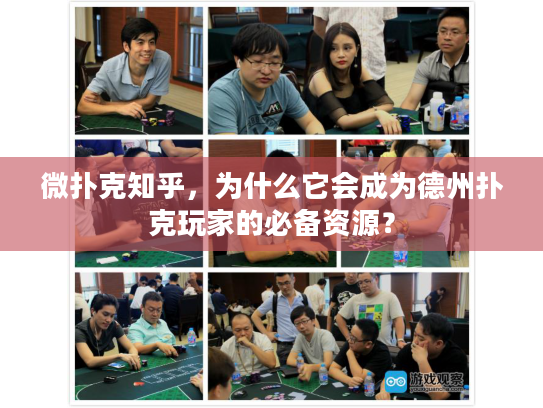 微扑克知乎，为什么它会成为德州扑克玩家的必备资源？