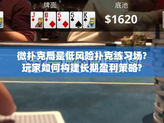 微扑克局是低风险扑克练习场?玩家如何构建长期盈利策略?