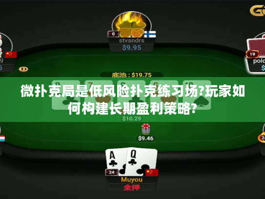 微扑克局是低风险扑克练习场?玩家如何构建长期盈利策略?