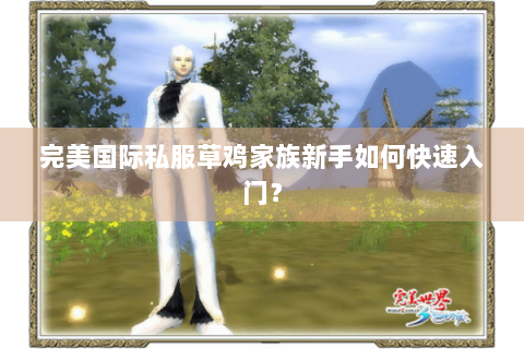 完美国际私服草鸡家族新手如何快速入门？