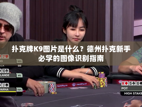 扑克牌K9图片是什么？德州扑克新手必学的图像识别指南