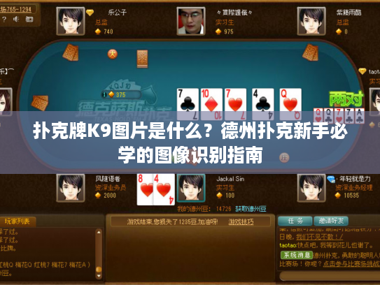 扑克牌K9图片是什么？德州扑克新手必学的图像识别指南