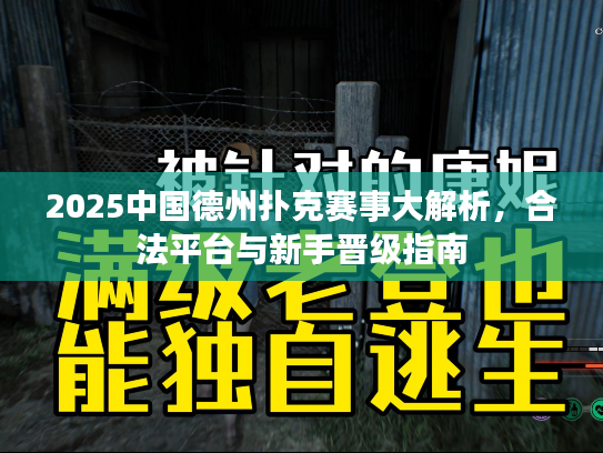 2025中国德州扑克赛事大解析，合法平台与新手晋级指南
