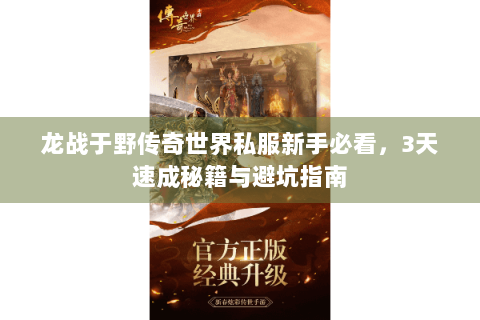 龙战于野传奇世界私服新手必看，3天速成秘籍与避坑指南