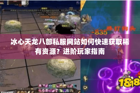 冰心天龙八部私服网站如何快速获取稀有资源？进阶玩家指南