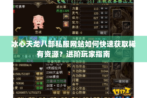 冰心天龙八部私服网站如何快速获取稀有资源？进阶玩家指南