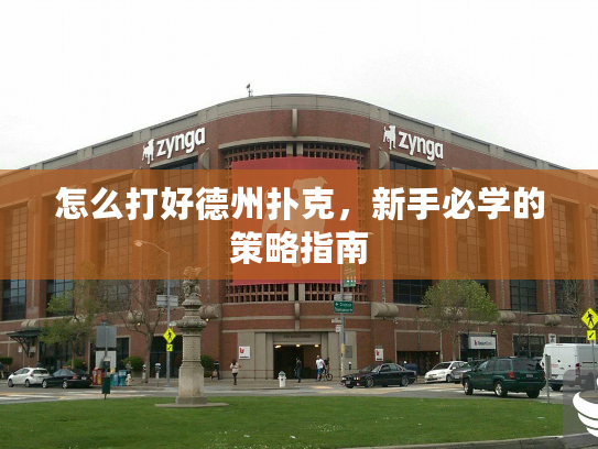 怎么打好德州扑克，新手必学的策略指南