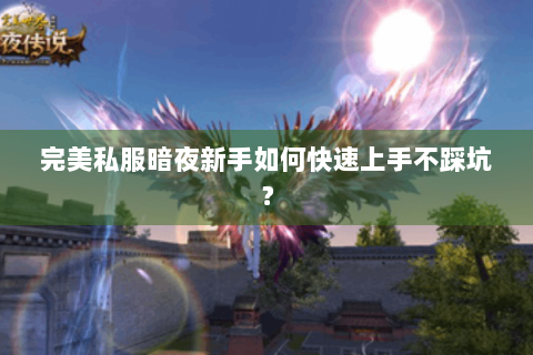 完美私服暗夜新手如何快速上手不踩坑？