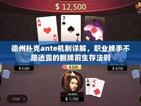 德州扑克ante机制详解，职业牌手不愿透露的翻牌前生存法则