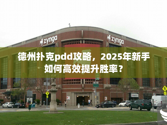 德州扑克pdd攻略，2025年新手如何高效提升胜率？