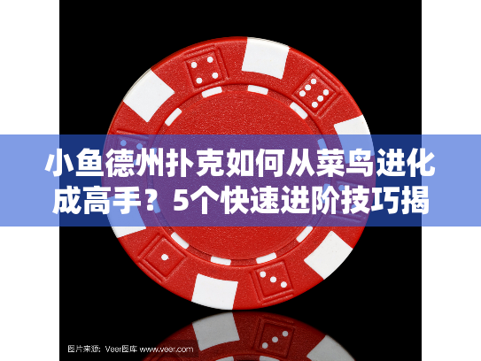 小鱼德州扑克如何从菜鸟进化成高手？5个快速进阶技巧揭秘