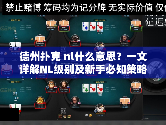 德州扑克 nl什么意思？一文详解NL级别及新手必知策略