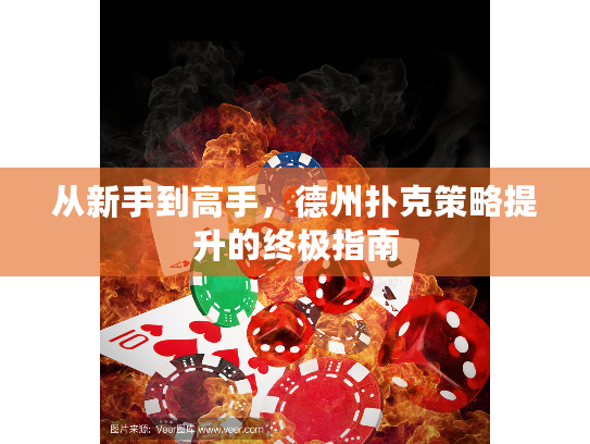 从新手到高手，德州扑克策略提升的终极指南