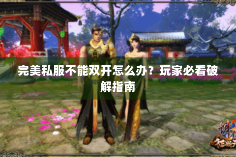 完美私服不能双开怎么办？玩家必看破解指南