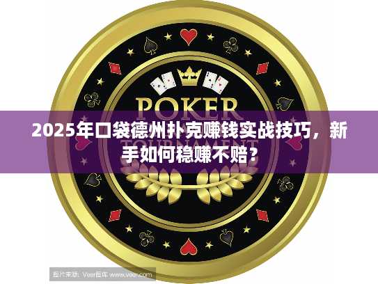 2025年口袋德州扑克赚钱实战技巧，新手如何稳赚不赔？