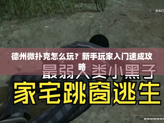 德州微扑克怎么玩？新手玩家入门速成攻略