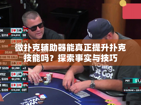微扑克辅助器能真正提升扑克技能吗？探索事实与技巧