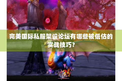 完美国际私服架设论坛有哪些被低估的实战技巧？