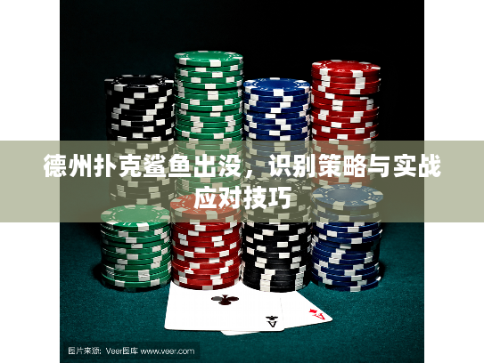 德州扑克鲨鱼出没，识别策略与实战应对技巧