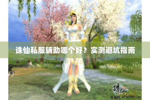 诛仙私服辅助哪个好？实测避坑指南
