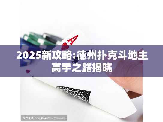 2025新攻略:德州扑克斗地主高手之路揭晓