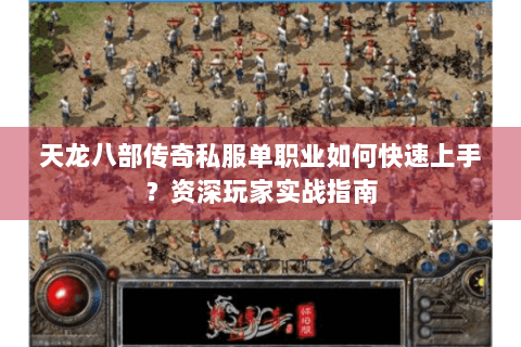 天龙八部传奇私服单职业如何快速上手？资深玩家实战指南