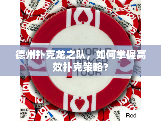 德州扑克龙之队，如何掌握高效扑克策略？
