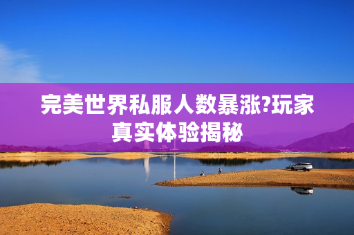 完美世界私服人数暴涨?玩家真实体验揭秘