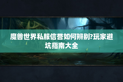 魔兽世界私服信誉如何辨别?玩家避坑指南大全