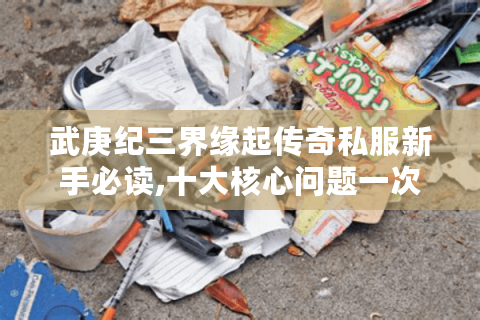 武庚纪三界缘起传奇私服新手必读,十大核心问题一次解决