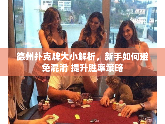 德州扑克牌大小解析，新手如何避免混淆 提升胜率策略